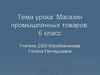 Магазин промышленных товаров  (6 класс)