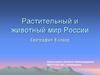 Растительный и животный мир России. География. 8 класс