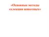 Основные методы селекции животных