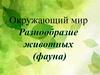 Разнообразие животных (фауна). Окружающий мир