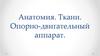 Анатомия. Ткани. Опорно-двигательный аппарат