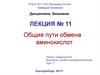 Общие пути обмена аминокислот. Лекция №11