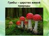 Грибы – царство живой природы