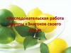 Исследовательская работа группы «Знатоков своего дела»