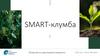 SMART-клумба
