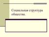 Социальная структура общества. Тема 12