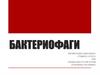 Бактериофаги