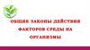 Общие законы действия факторов среды на организмы
