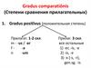 Gradus comparatiōnis (Степени сравнения прилагательных)