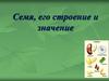 Семя, его строение и значение