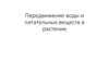 Передвижение воды и питательных веществ в растении