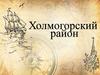 Холмогорский район