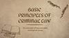 Basic principles of criminal law