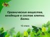 Органические вещества, входящие в состав клетки. Белки