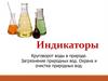 Индикаторы. Круговорот воды в природе. Загрязнение природных вод. Охрана и очистка природных вод
