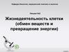 Жизнедеятельность клетки (обмен веществ и превращение энергии). Лекция №2