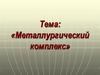 Металлургический комплекс  (9 класс)