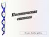 Политическая система. 10 класс