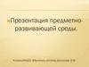 Предметно-развивающая среда