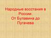 Народные восстания в России. От Булавина до Пугачева
