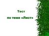 Лист. Тест