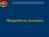 Микробиота человека