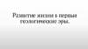 Развитие жизни в первые геологические эры