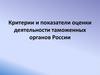 Критерии и показатели оценки деятельности таможенных органов России