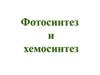 Фотосинтез и хемосинтез