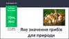 Яке значення грибів для природи. Урок №42