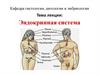 Эндокринная система