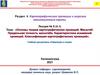 Основы теории картографических проекций. Масштаб  (лекция № 9)
