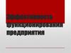 Эффективность функционирования предприятия