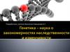 Генетика. Первый, второй и третий законы Г. Менделя  (10 класс)