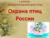 1 апреля - Международный день птиц. Охрана птиц России