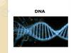 DNA. Lesson objectives
