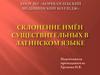 Склонение имён существительных в латинском языке