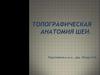 Топографическая анатомия шеи