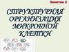 Структурная организация микробной клетки