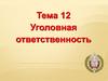 Уголовная ответственность