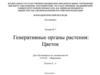 Генеративные органы растения: цветок. Лекция №7