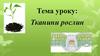 Тканини рослин
