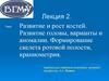 Развитие и рост костей. Развитие головы, варианты и аномалии. Формирование скелета ротовой полости, краниометрия. Лекция 2