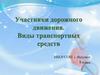 Участник дорожного движения