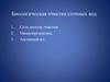 Биологическая очистка сточных вод