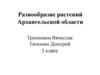 Разнообразие растений Архангельской области