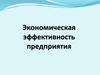 Экономическая эффективность предприятия