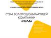 СЭМ золотодобывающей компании «Голд»
