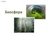 Биосфера. Что такое биосфера?