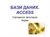 Бази даних. Access. Сортування, фільтрація. Форми
